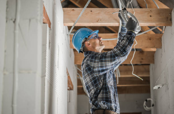 Best Electric Panel Repair  in Lakewood, CO