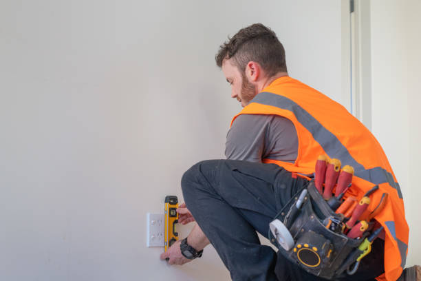 Best Ceiling Fan Installation Electrician  in Lakewood, CO
